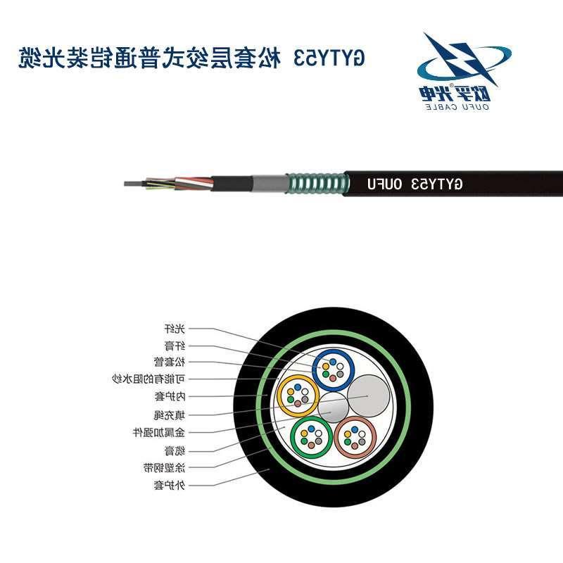 欧孚GYTY53室外光缆 缆线型号gyty53 钢带铠装PE护套光缆